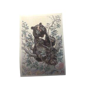 Vintage Postcard Russian Cave Bear Eating Non Topographical Standard u